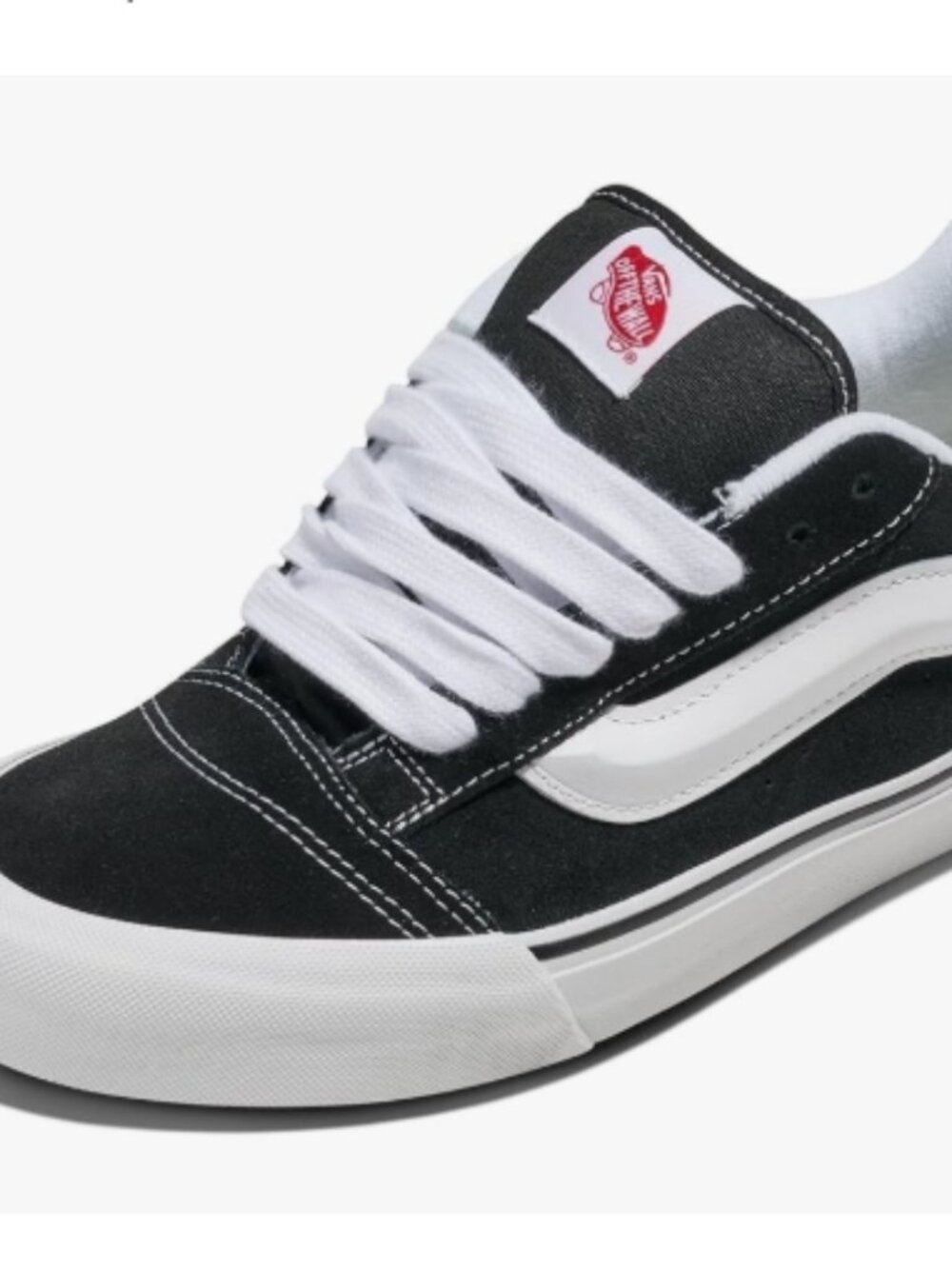 Vans Skate Shoes